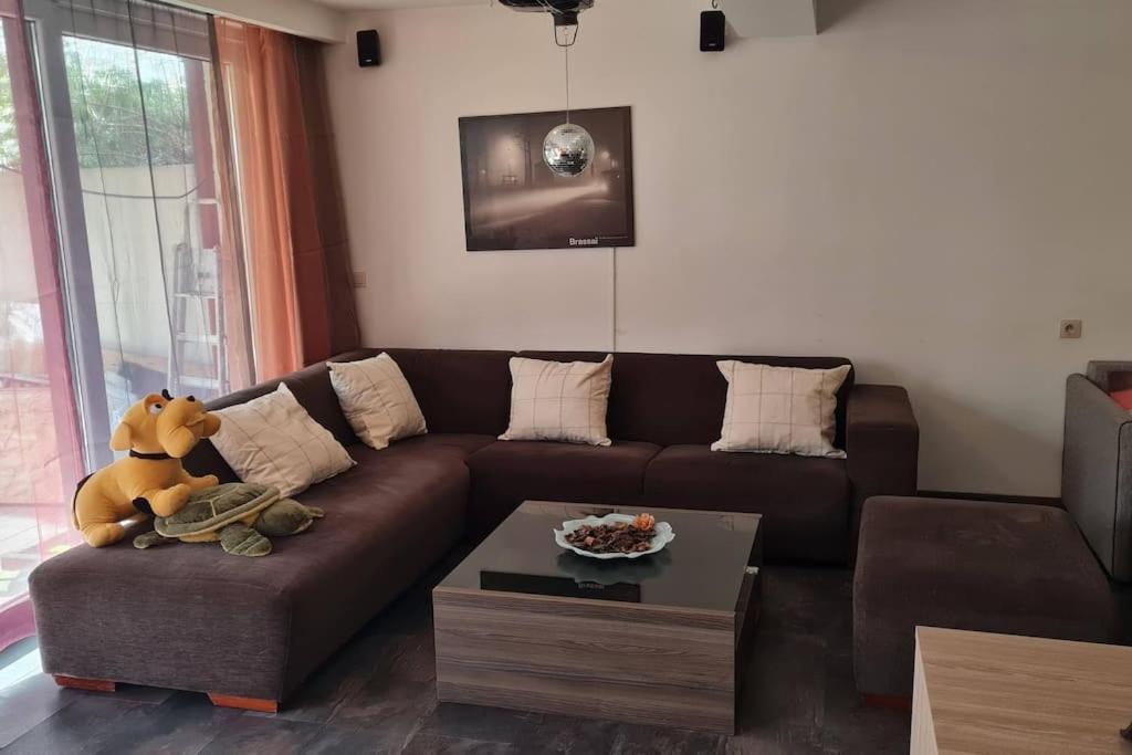 Apartamento Lux & Cozy + Garden +jaccuzi *